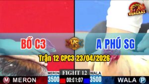 Trận 12 CPC3 23/04/2026 - Gà Xanh Đá Cựa Đâm Như Máy Khâu