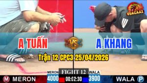 Trận 12 CPC3 25/04/2026 - Gà Cú Vào Đá Siết 1 Chân Lụm Liền