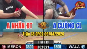 Trận 13 CPC2 09/04/2026 - Đỏ Đâm Như Máy Khâu Xanh Nằm Ngay Tại Chỗ