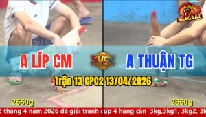Trận 13 CPC2 13/04/2026 - Đỏ Buôn Đuôi Xanh Nằm Tại Chỗ Sau 2 Tay Nước