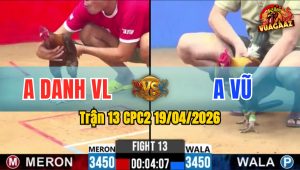 Trận 13 CPC2 19/04/2026 - Gà Đỏ Đá Đúng 2 Tay Nước Là Có Kết Quả