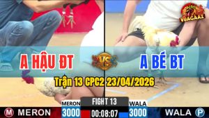 Trận 13 CPC2 23/04/2026 - Camelo Chạy Vô Dính Cây Hết Cứu