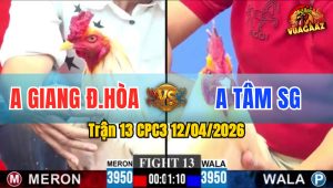 Trận 13 CPC3 12/04/2026 - ÚA ĐÂM CỰA TỊCH BƯỚM HẾT SỬA