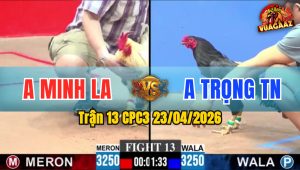 Trận 13 CPC3 23/04/2026 - Gà Bướm Đá Cựa Hiểm Hạ Xanh Nhanh Gọn