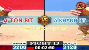 Trận 13 CPC3 31/03/2026 - Gà Anh Ton Chấm Dứt Chuỗi Chú Khanh