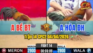 Trận 14 CPC2 04/04/2026 - Khét Đá Nách Non Điều Nằm Biệt Hết Đứng