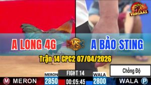 Trận 14 CPC2 07/04/2026 - Đỏ Đá Mu Lưng Xanh Bưng Ra Ngoài
