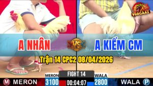 Trận 14 CPC2 08/04/2026 - Idol Kiểm Sữa Gà Quá Đẳng Cấp Phản Tang Quá Hay