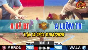 Trận 14 CPC2 11/04/2026 - Cú Quá Đâm Xám Đứng Rồng La Miệng