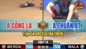 Trận 14 CPC2 13/04/2026 - Xanh Buôn Đuôi Đá Đỏ Bay Bồ Chỉ 4 Đá
