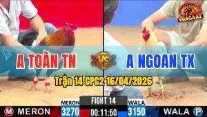 Trận 14 CPC2 16/04/2026 - Bướm Đâm Như Máy Khâu Điều Nằm Chết Sau Vài Chân