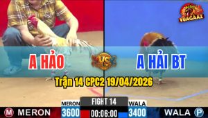Trận 14 CPC2 19/04/2026 - Gà Xanh Ra Chân Cay Nghiệt Hạ Đỏ