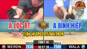 Trận 14 CPC2 21/04/2026 - Chuối Bỏ Đá Điều Rồi Bỏ Đi Phút 90 Phản Ăn 2