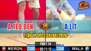 Trận 14 CPC2 24/04/2026 - Gà Anh Lít Có Pha Lật Kèo Ngoạn Mục