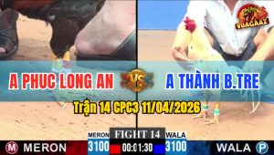 Trận 14 CPC3 11/04/2026 - ĐIỀU ĐÁ TRÊN CHÂN  BƯỚM DÍNH CỰA HẾT ĐỨNG NỔI