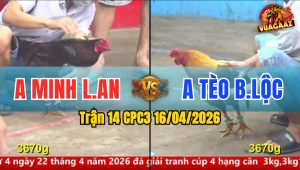 Trận 14 CPC3 16/04/2026 - Xanh Đâm Như Máy Khâu  Đỏ Hư Hình Hết Sửa
