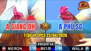 Trận 14 CPC3 23/04/2026 - Gà Xanh Trâu Bò Gồng Tới Phút Cuối
