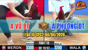 Trận 15 CPC2 04/04/2026 - Đỏ Đâm Tịch Xanh Hư Hình Nằm Biệt