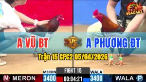Trận 15 CPC2 05/04/2026 - Đỏ Đâm Tịch Xanh Hư Hình Nằm Biệt