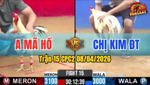 Trận 15 CPC2 08/04/2026 - Xanh Đá Trên Lưng Đỏ Nằm Tại Chỗ