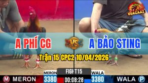 Trận 15 CPC2 10/04/2026 - Cú Quá Khôn Chọi Chân Quá Tịch Điều Ói Nằm Biệt