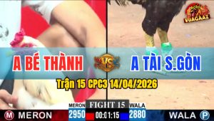 Trận 15 CPC3 14/04/2026 - Bướm Đâm Chuối Té Xỉu Bưng Ra