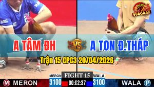 Trận 15 CPC3 20/04/2026 - Xanh Tung Liên Hoàn Cước Hạ Gục Đỏ Chỉ 1 Tay Nước