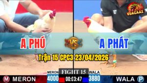 Trận 15 CPC3 23/04/2026 - Đỏ Bỏ Chân Cựa Quá Ác Xanh Hết Cứu
