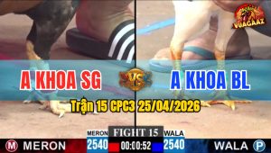 Trận 15 CPC3 25/04/2026 - Gà Bướm Anh Khoa BL Có Chân Cựa Quá Tịch