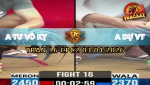 Trận 16 CPC2 03/04/2026 - Điều Hạ Chuối Chới s2 Tay Nước Tháo Cựa