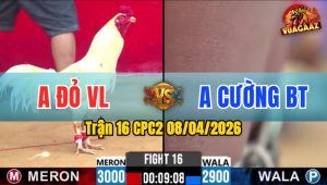 Trận 16 CPC2 08/04/2026 - Xanh Đâm Quá Tịch Đỏ Hư Hình Hết Sữa