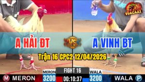 Trận 16 CPC2 12/04/2026 - Đỏ Đâm Quá Tịch 2 Tay Nước Xanh Gãy Giò