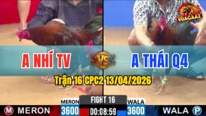 Trận 16 CPC2 13/04/2026 - Đỏ Đứng Rồng Cho Xanh Đá Chết Tại Chỗ