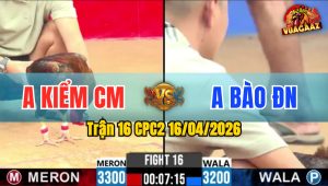 Trận 16 CPC2 16/04/2026 - 2 Con Quá Tốc Độ Đỏ Trả Chân Xanh Nằm Tại Chỗ Phản Ăn 3