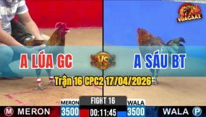 Trận 16 CPC2 17/04/2026 - Xanh Nhanh Như Tép 2 1 Tay Nước Xám Bưng Ra Ngoài