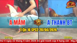 Trận 16 CPC2 20/04/2026 - Cú Quá Nhanh 1 Tay Nước Bướm Bưng Ra Ngoài