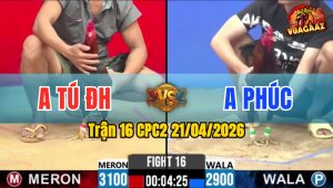Trận 16 CPC2 21/04/2026 - Đỏ Quá May Độ Đứng Rồng Thủ Hòa Quá Hay
