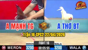 Trận 16 CPC2 22/04/2026 - Gà Anh Mạnh TG Có Chân Cựa Chí Mạng