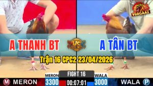 Trận 16 CPC2 23/04/2026 - Gà Đỏ Canh Chặn Đá 1 Cây Đúng Lúc