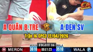 Trận 16 CPC3 12/04/2026 - BƯỚM ĐÂM QUÁ ĐÂM  HẠ ÚA NHANH CHÓNG