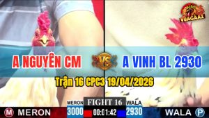 Trận 16 CPC3 19/04/2026 - Xanh Trả Chân QUá Tịch Đỏ Lật Xe Bưng Ra