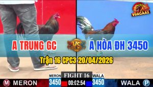 Trận 16 CPC3 20/04/2026 - Xanh Đâm Nhiều Chân Mà Không Dính Bị Đỏ Cho Phản Công Hạ Gục