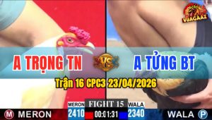 Trận 16 CPC3 23/04/2026 - Gà Xanh Phản Phút Cuối Thắng Đẳng Cấp