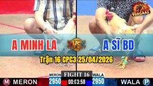 Trận 16 CPC3 25/04/2026 - Anh Sĩ BD Có Pha Lội Ngược Dòng Ngoạn Mục