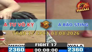 Trận 17 CPC2 03/04/2026 - Điều Đá Bo Lớn Chuối Chịu Không Nổi Rinh Ra