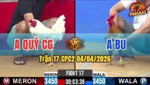 Trận 17 CPC2 04/04/2026 - Bướm Đá Mu Lưng Cú Liệt Chân Nắm Biệt