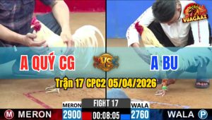 Trận 17 CPC2 05/04/2026 - Bướm Đá Mu Lưng Cú Liệt Chân Nắm Biệt