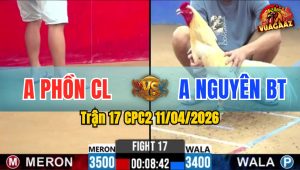 Trận 17 CPC2 11/04/2026 - Bướm Mau Lẹ Lại Đâm Tịch Điều Nằm Biệt Dưới Chân