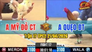 Trận 17 CPC2 21/04/2026 - Bướm Trả Chân Quyết Định Đỏ Lật Xe Nằm Tại Chỗ