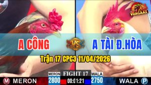 Trận 17 CPC3 11/04/2026 - ĐIỀU BÔNG GÃY CHÂN SỚM  K CÓ BẤT NGỜ